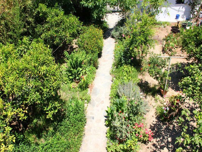 Hotel Ikaros Archangelos  Bagian luar foto